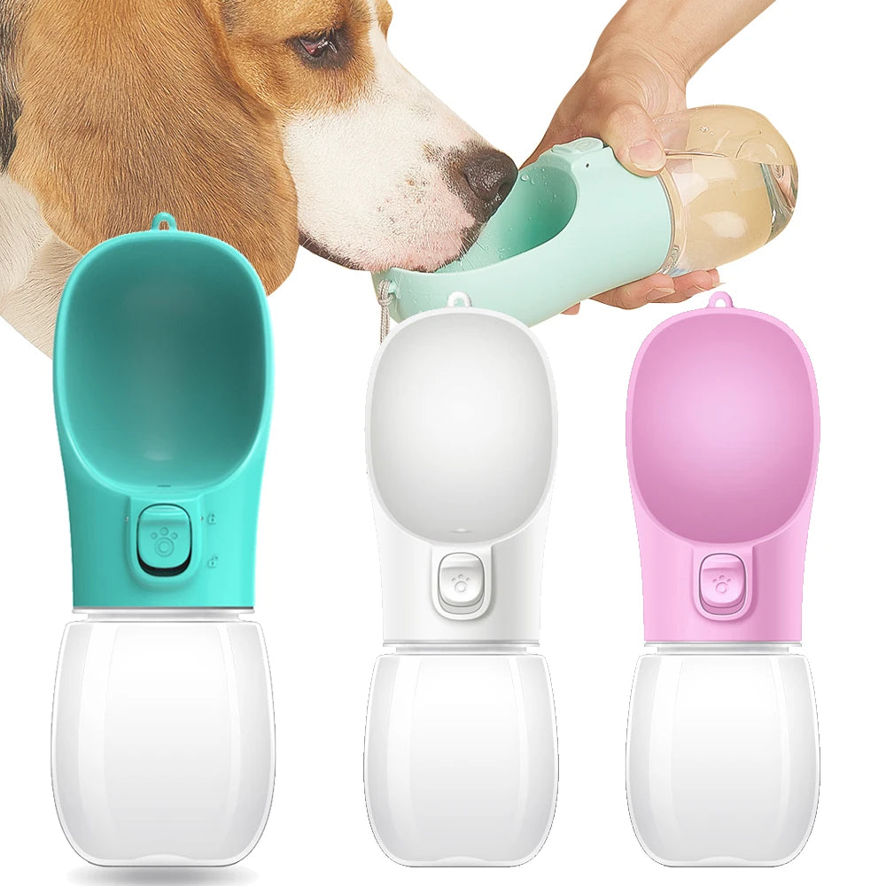 Gourde portable pour chien