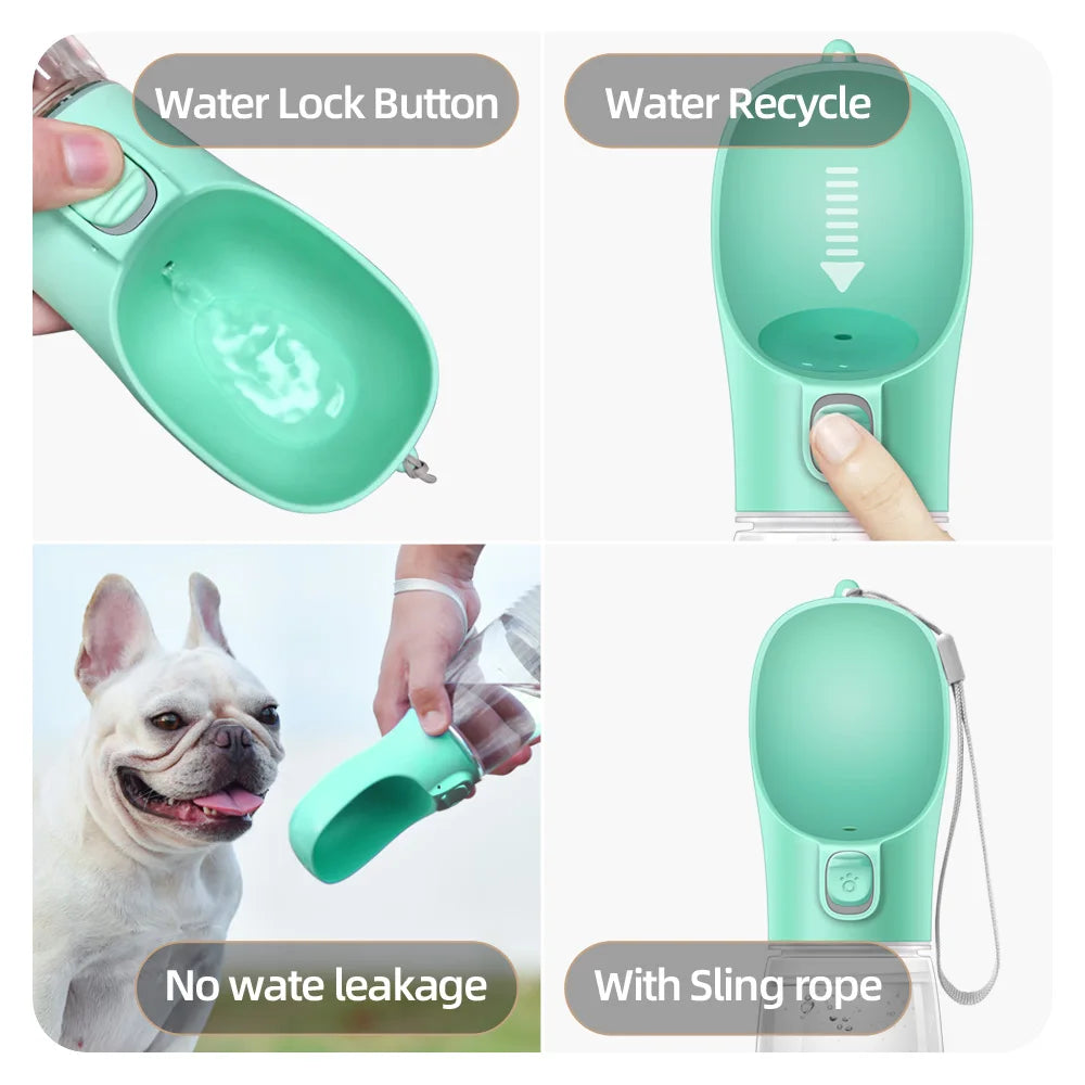 Gourde portable pour chien